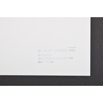 Andy Warhol (After) COWBOYS & INDIANS Prints, Priced Each